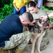 Pacific Partnership 2024-1: U.S. Army Veterinarians Side-by-Side