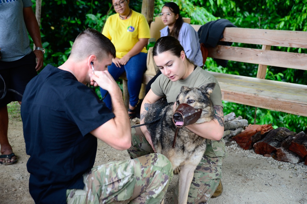 Pacific Partnership 2024-1: U.S. Army Veterinarians Side-by-Side