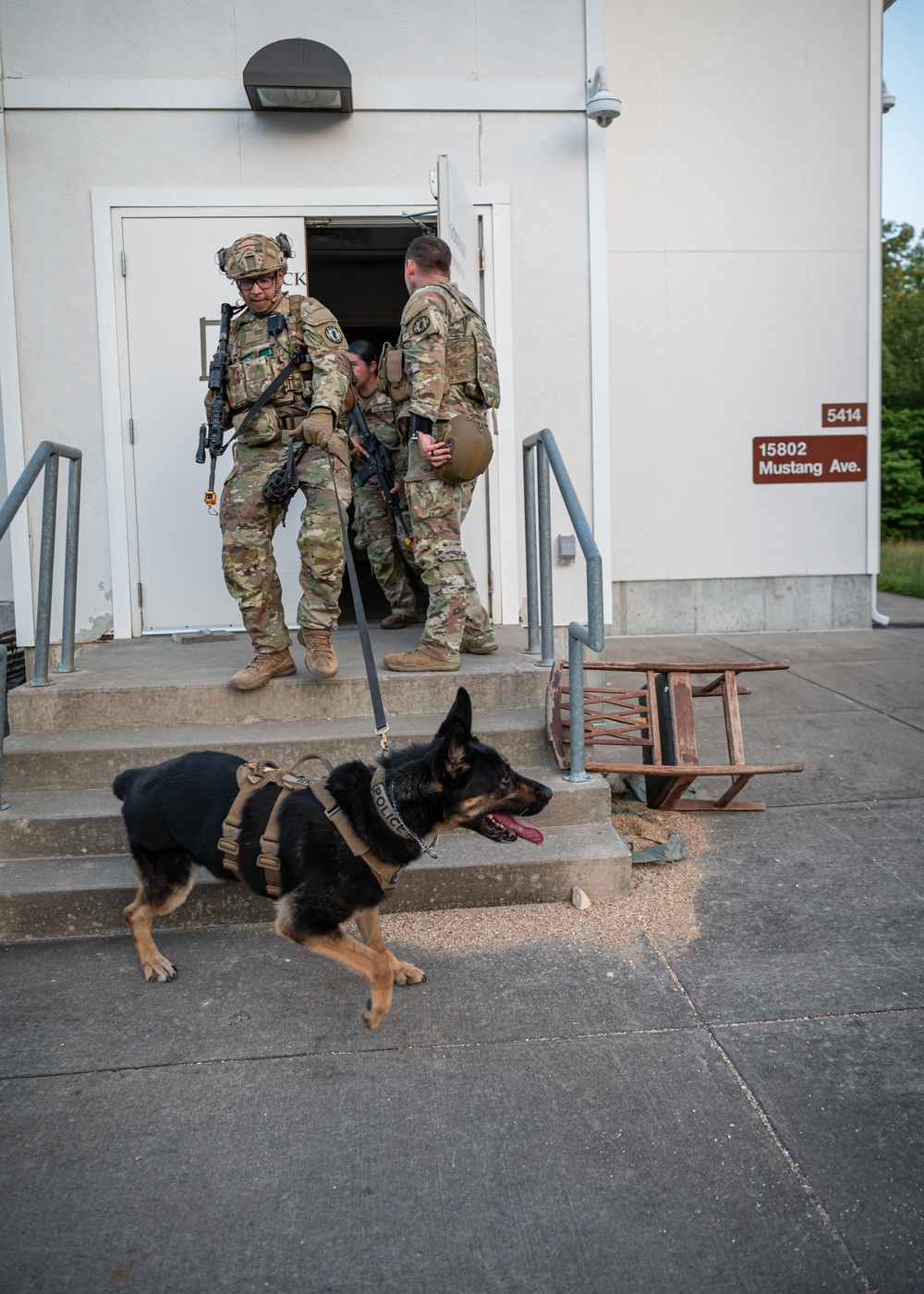 Training exercise prepares military working dog teams for future missions.