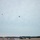 Marine Fighter Attack Squadron (VMFA) 542 conducts flight operations Marine Fighter Attack Squadron (VMFA) 542 conducts flight operations