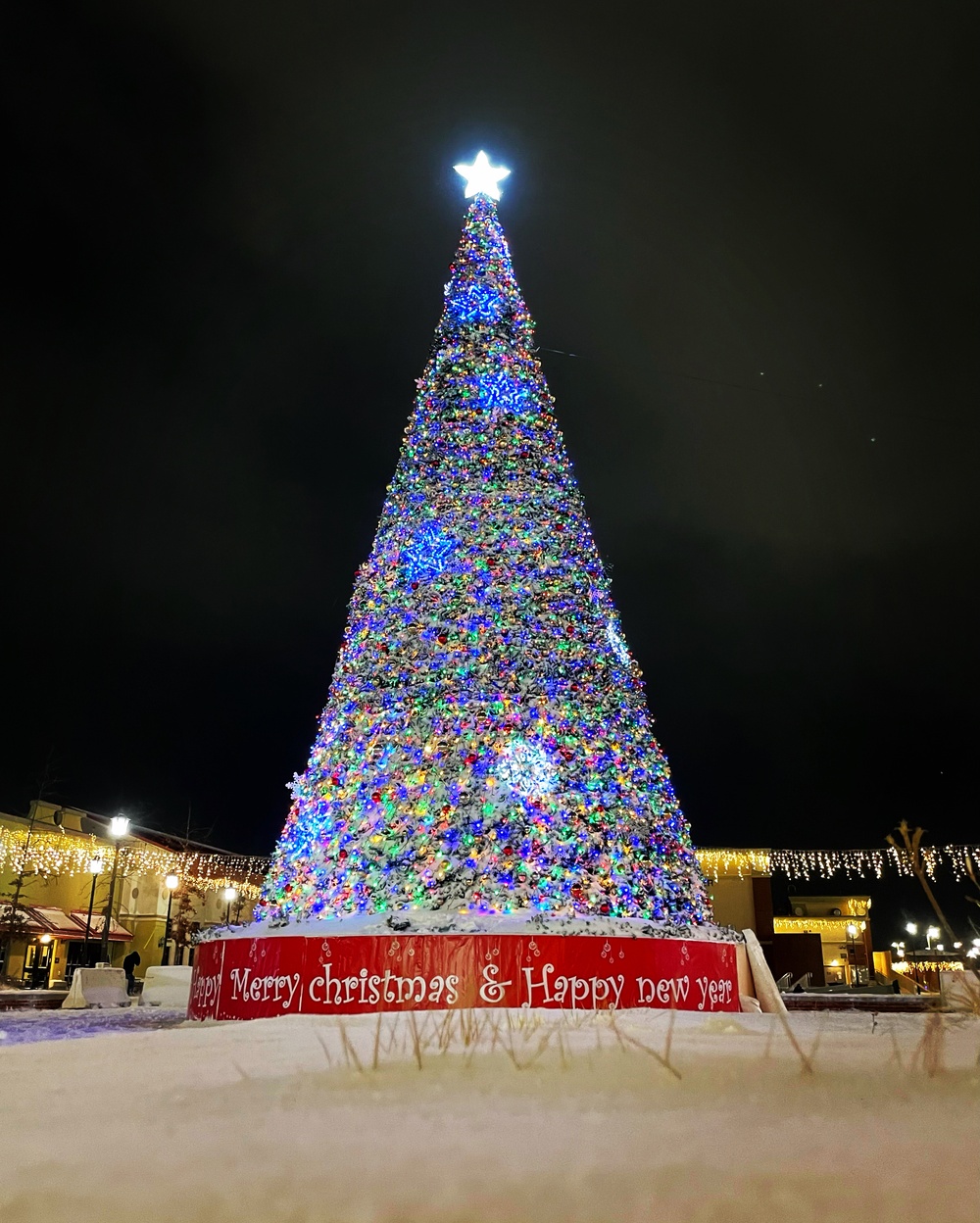 2023 Humphreys Tree Lighting