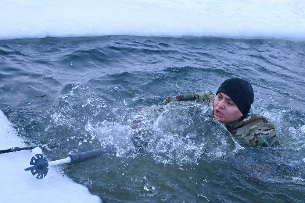 Arctic Wolves take a chilling plunge