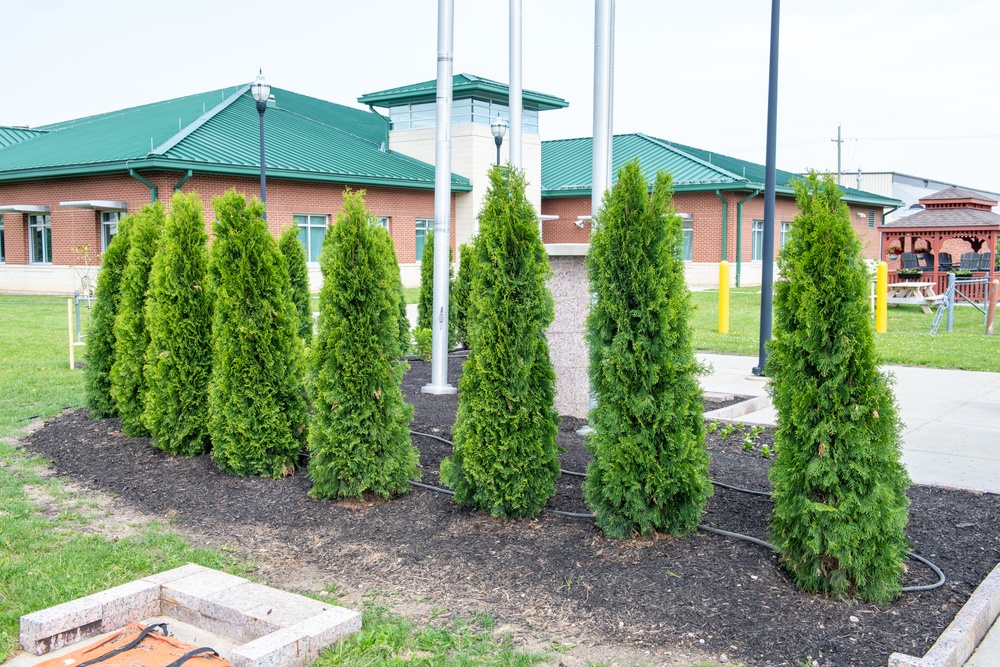 DSCC celebrates Arbor Day, certification as Tree City USA for fifth consecutive year