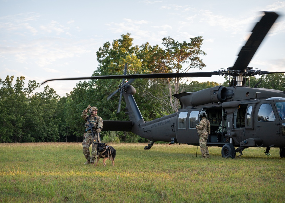 Training exercise prepares military working dog teams for future missions.