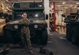 Brain and Backbone: New Environments, New Targets