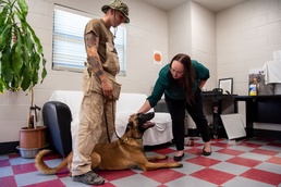 MWD Program strengthens families and the force