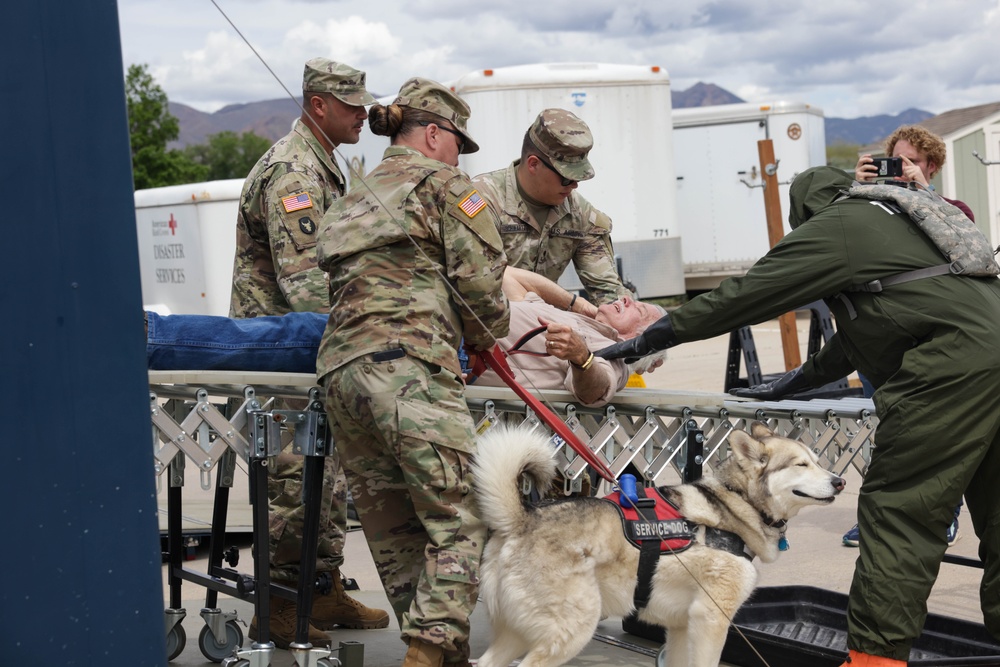 Exercise Vista Forge 2023