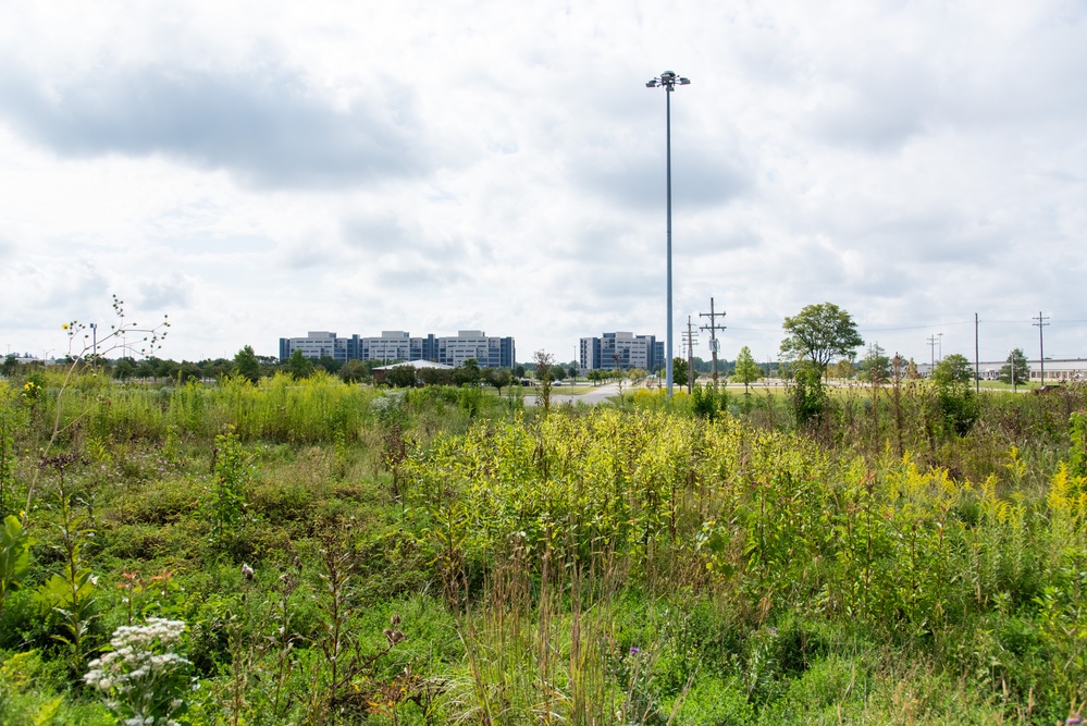 Defense Supply Center Columbus prairie boosts biodiversity