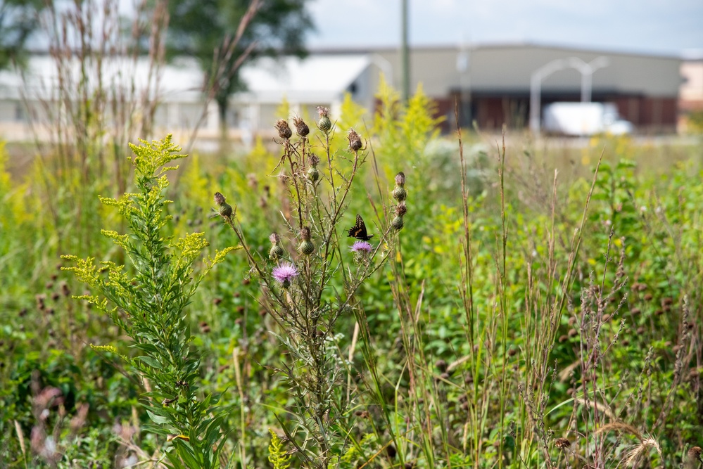 Defense Supply Center Columbus prairie boosts biodiversity