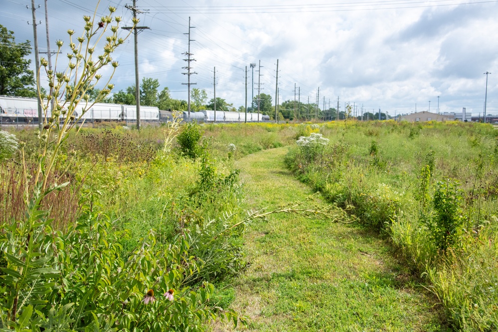 Defense Supply Center Columbus prairie boosts biodiversity