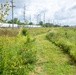 Defense Supply Center Columbus prairie boosts biodiversity