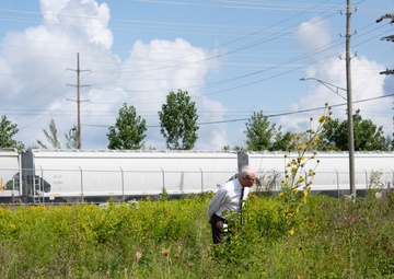 Defense Supply Center Columbus prairie boosts biodiversity