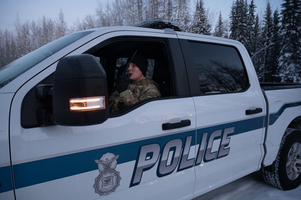 354th SFS keeps Eielson AFB safe and secure