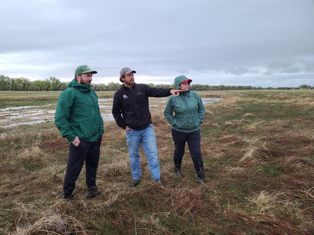 Colorado Mitigation Procedures, Stream Quantification Tool, mitigation banking improves regulatory permitting