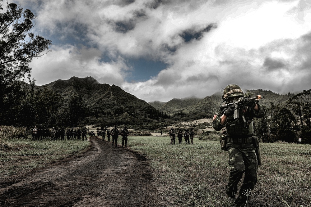 Photo Illustrations of US and British Advisors with RTA Soldiers during JPMRC 24-1