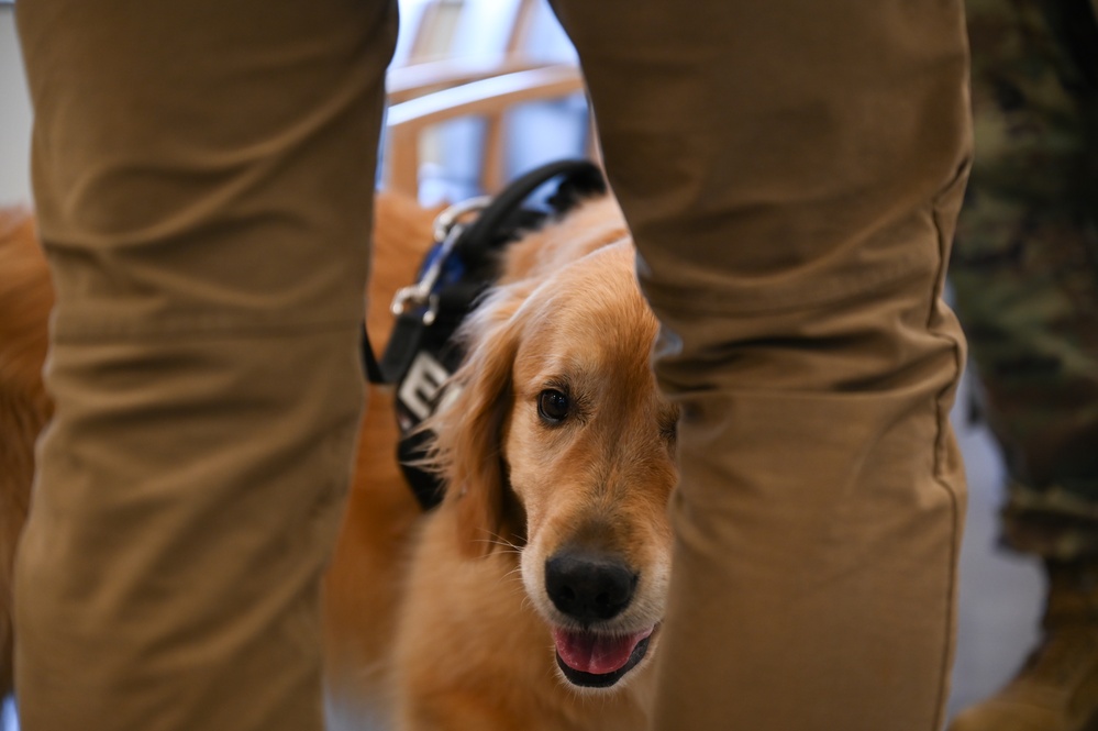 Golden Retriever Life tours 113th Wing, DCANG