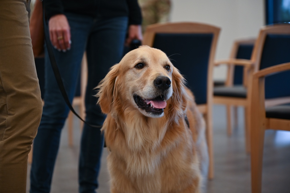 Golden Retriever Life tours 113th Wing, DCANG