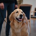 Golden Retriever Life tours 113th Wing, DCANG