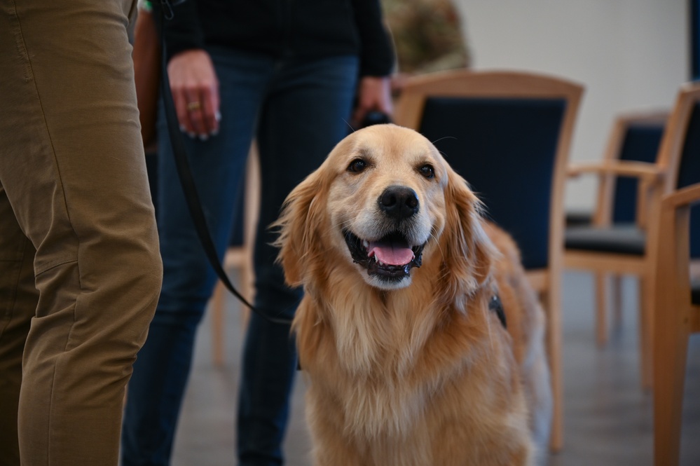 Golden Retriever Life tours 113th Wing, DCANG