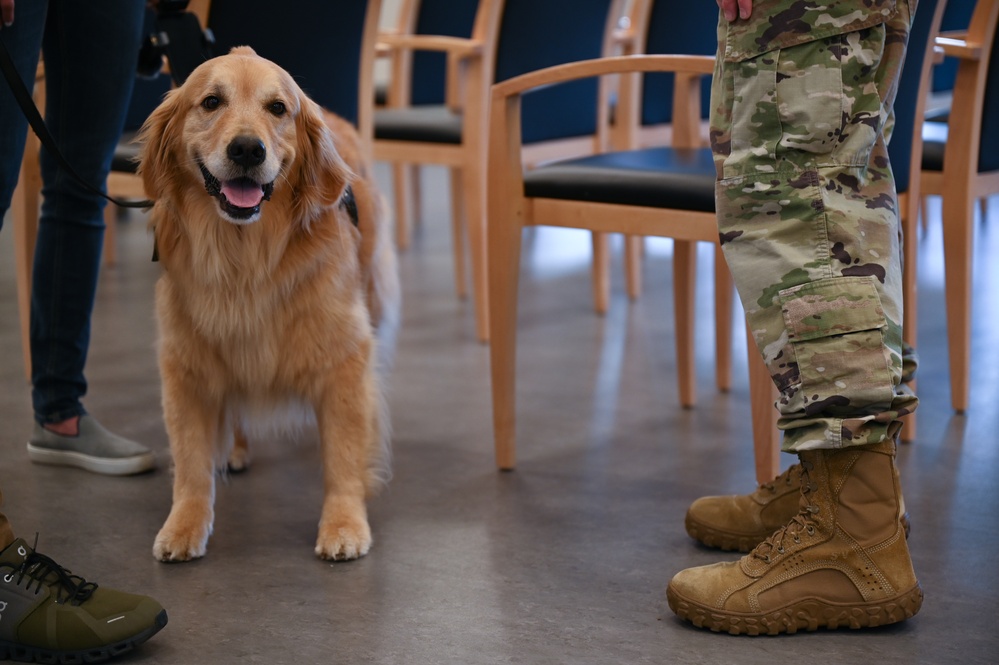 Golden Retriever Life tours 113th Wing, DCANG