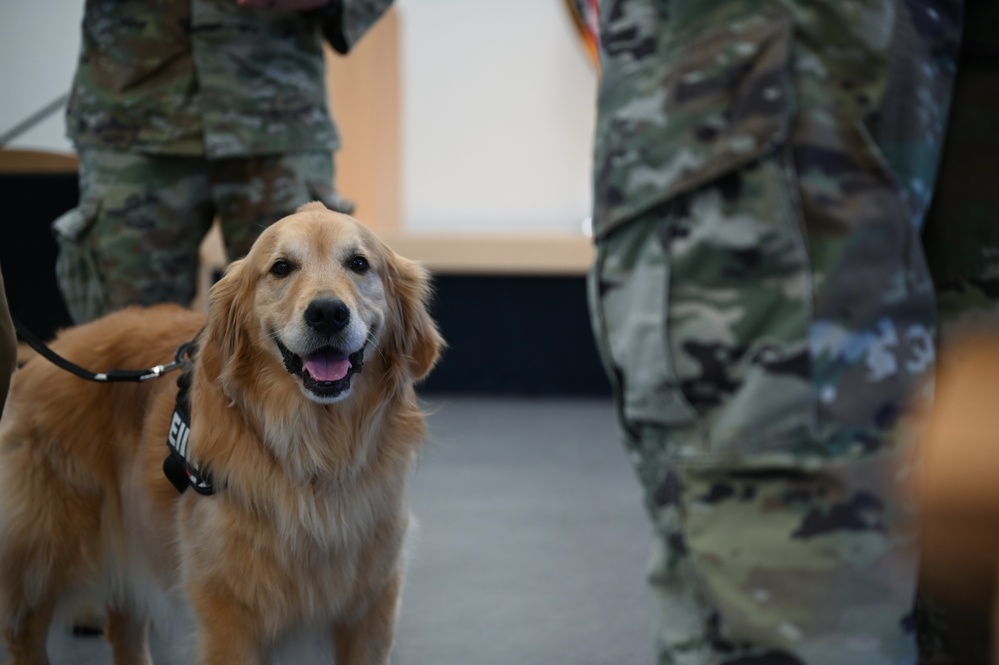 Golden Retriever Life tours 113th Wing, DCANG