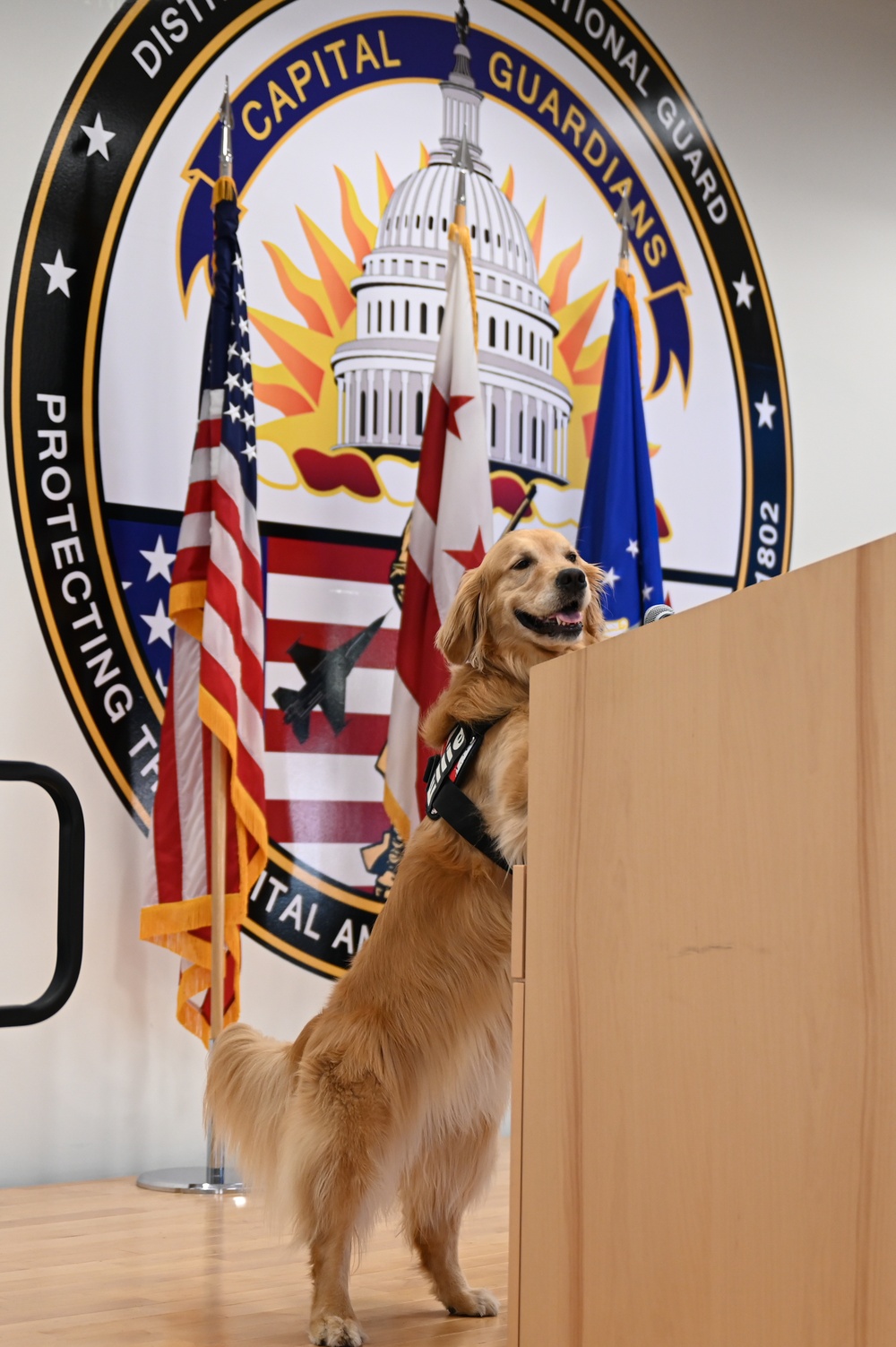 Golden Retriever Life tours 113th Wing, DCANG