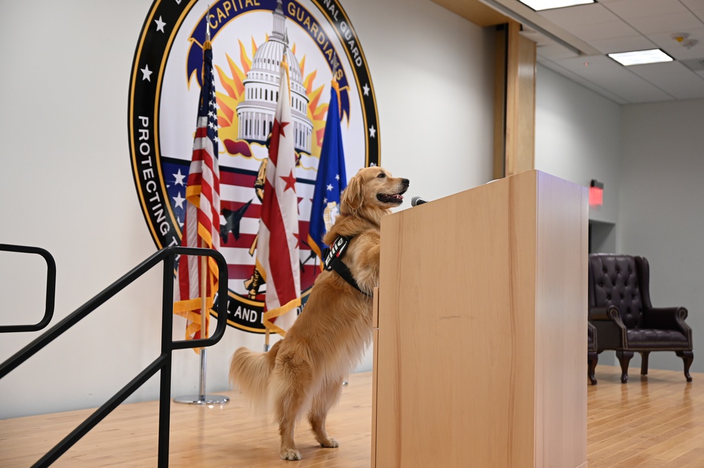 Golden Retriever Life tours 113th Wing, DCANG