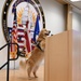 Golden Retriever Life tours 113th Wing, DCANG