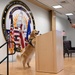 Golden Retriever Life tours 113th Wing, DCANG