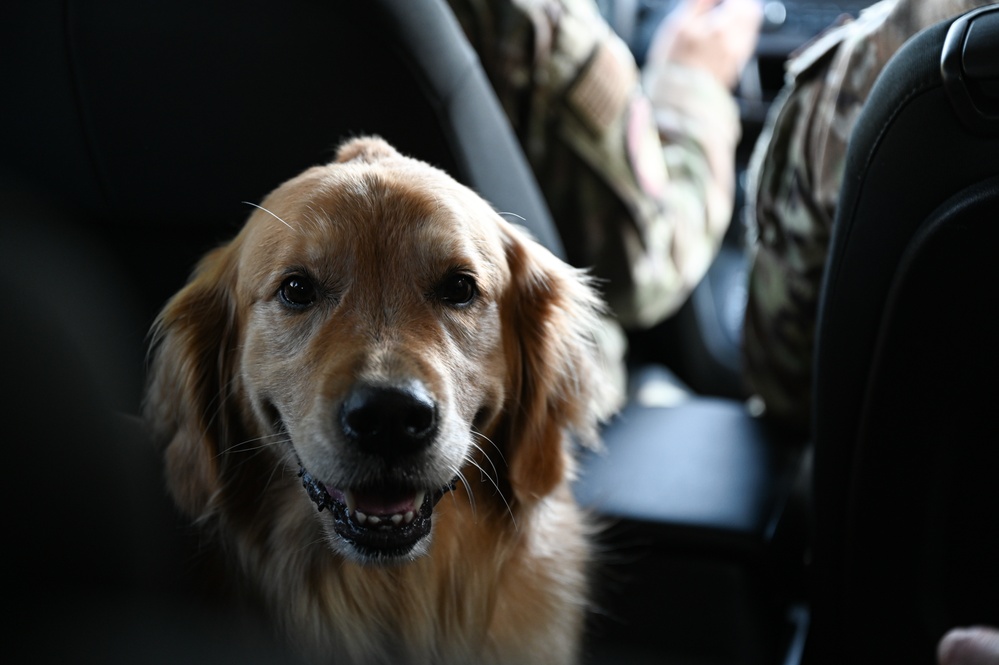 Golden Retriever Life tours 113th Wing, DCANG