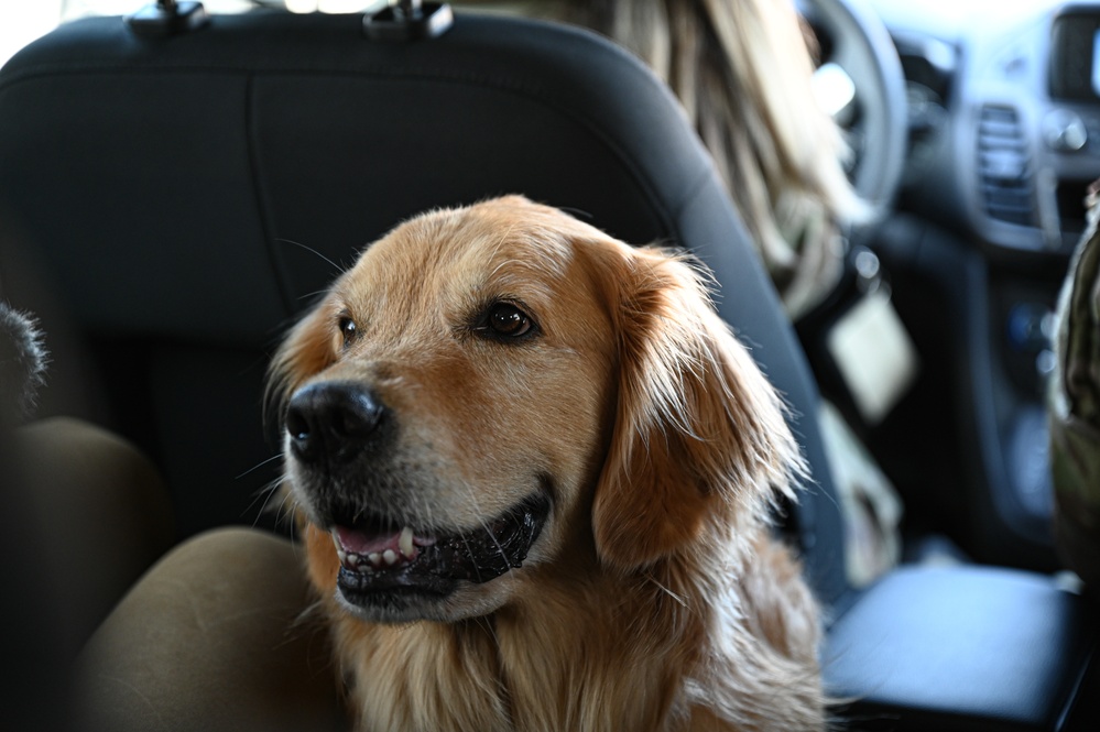 Golden Retriever Life tours 113th Wing, DCANG