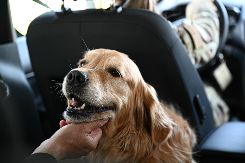 Golden Retriever Life tours 113th Wing, DCANG