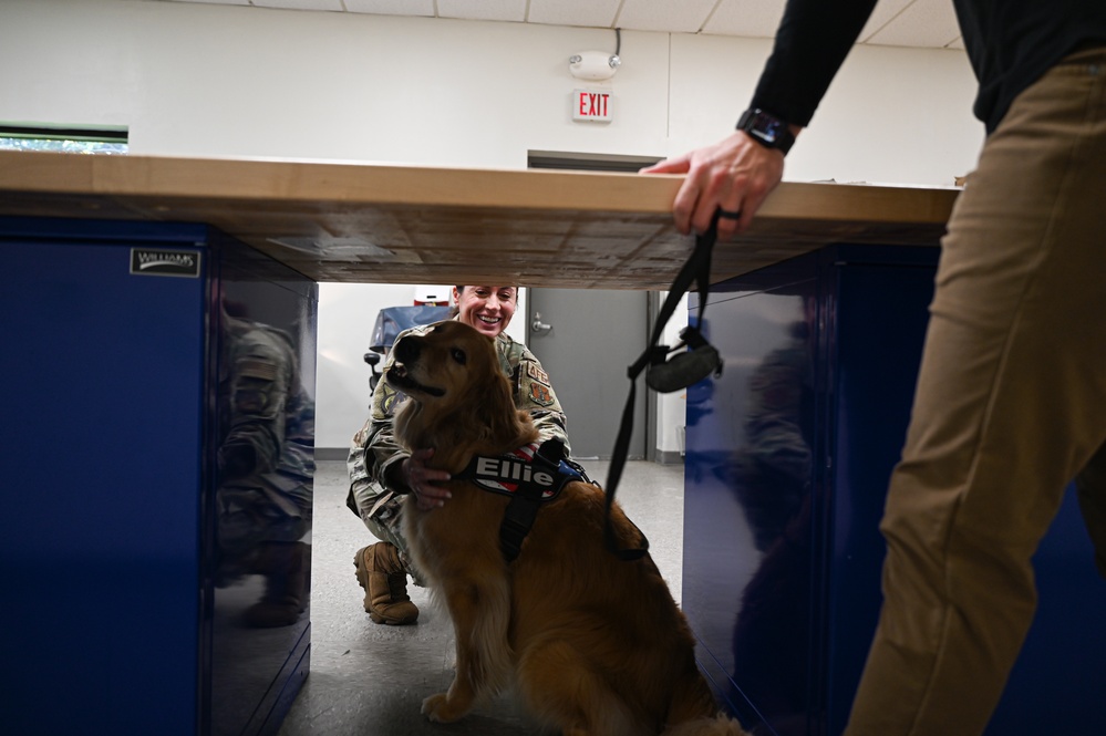 Golden Retriever Life tours 113th Wing, DCANG