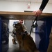 Golden Retriever Life tours 113th Wing, DCANG