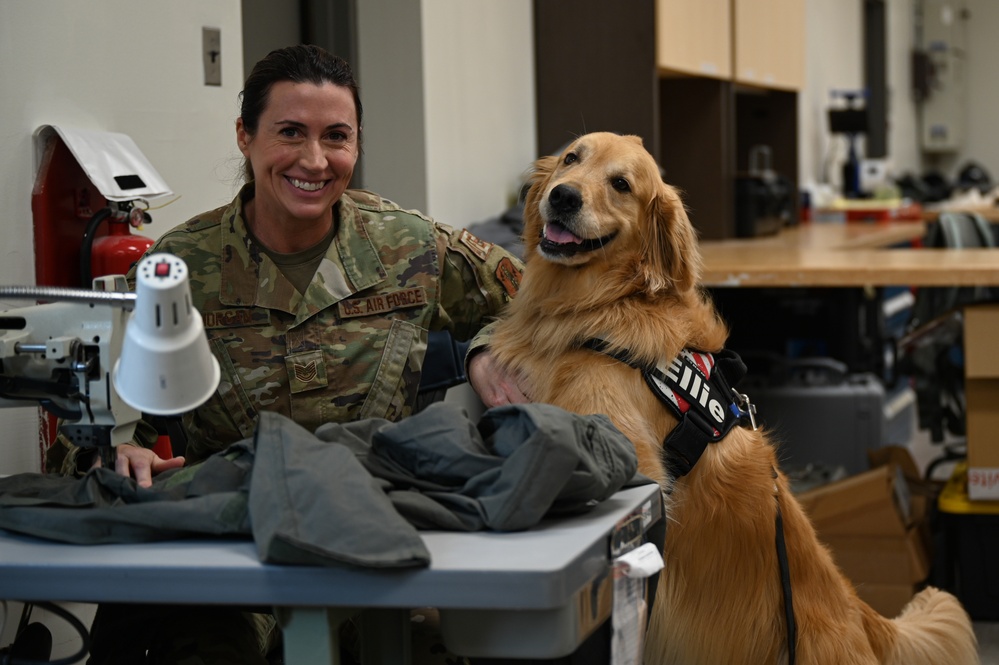 Golden Retriever Life tours 113th Wing, DCANG