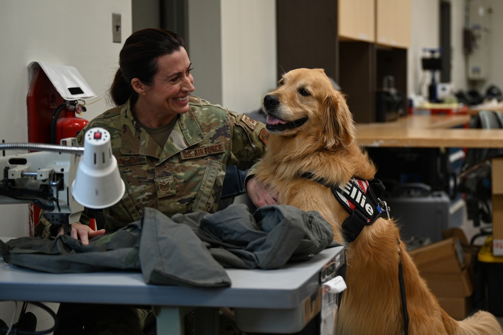 Golden Retriever Life tours 113th Wing, DCANG