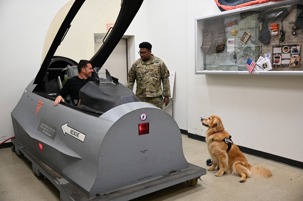 Golden Retriever Life tours 113th Wing, DCANG