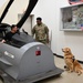 Golden Retriever Life tours 113th Wing, DCANG