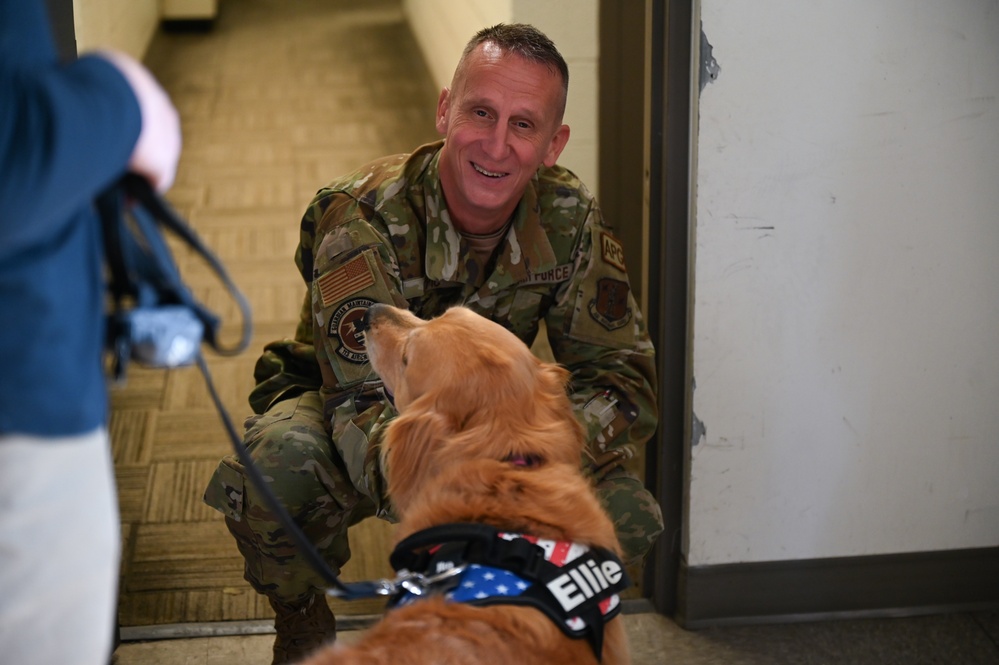 Golden Retriever Life tours 113th Wing, DCANG