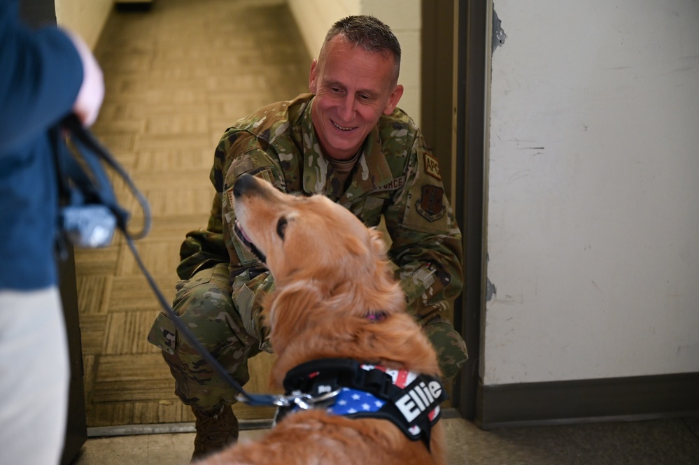 Golden Retriever Life tours 113th Wing, DCANG