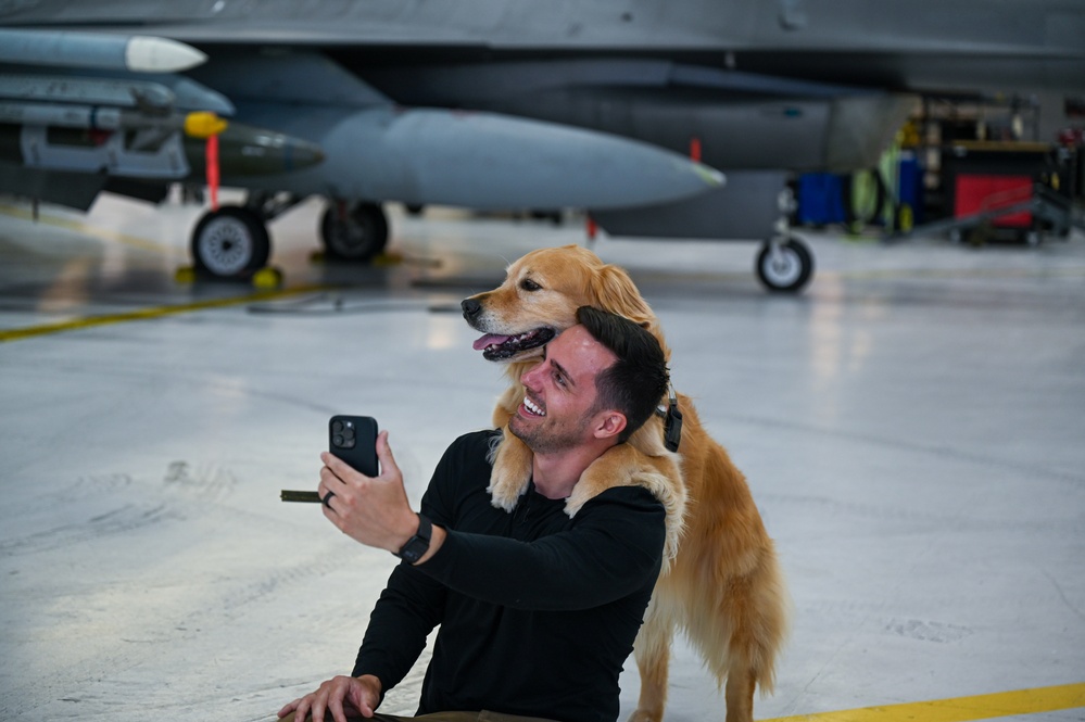 Golden Retriever Life tours 113th Wing, DCANG