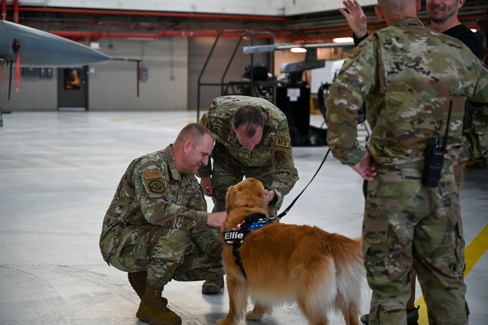 Golden Retriever Life tours 113th Wing, DCANG