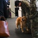 Golden Retriever Life tours 113th Wing, DCANG