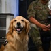 Golden Retriever Life tours 113th Wing, DCANG