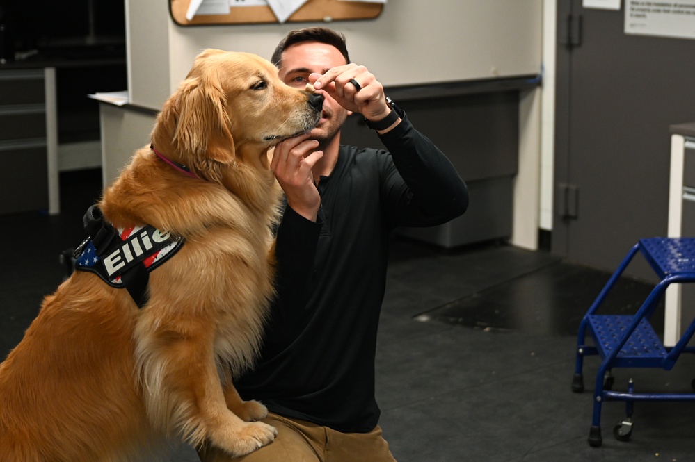 Golden Retriever Life tours 113th Wing, DCANG