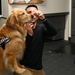 Golden Retriever Life tours 113th Wing, DCANG