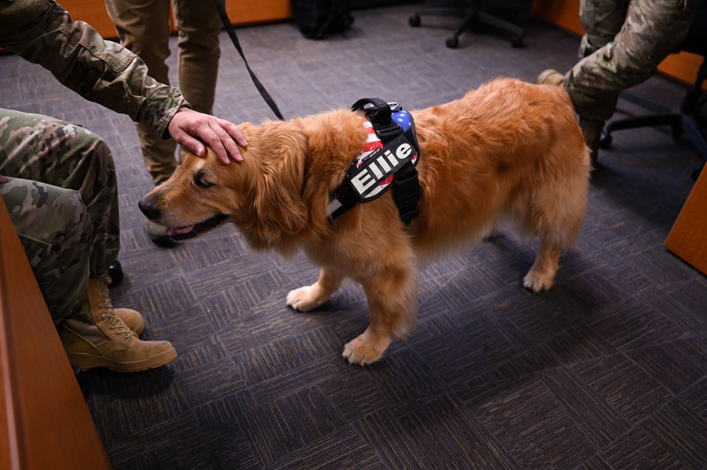 Golden Retriever Life tours 113th Wing, DCANG