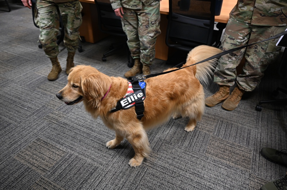 Golden Retriever Life tours 113th Wing, DCANG