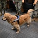 Golden Retriever Life tours 113th Wing, DCANG