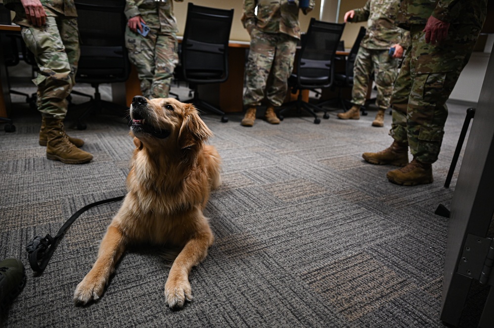 Golden Retriever Life tours 113th Wing, DCANG